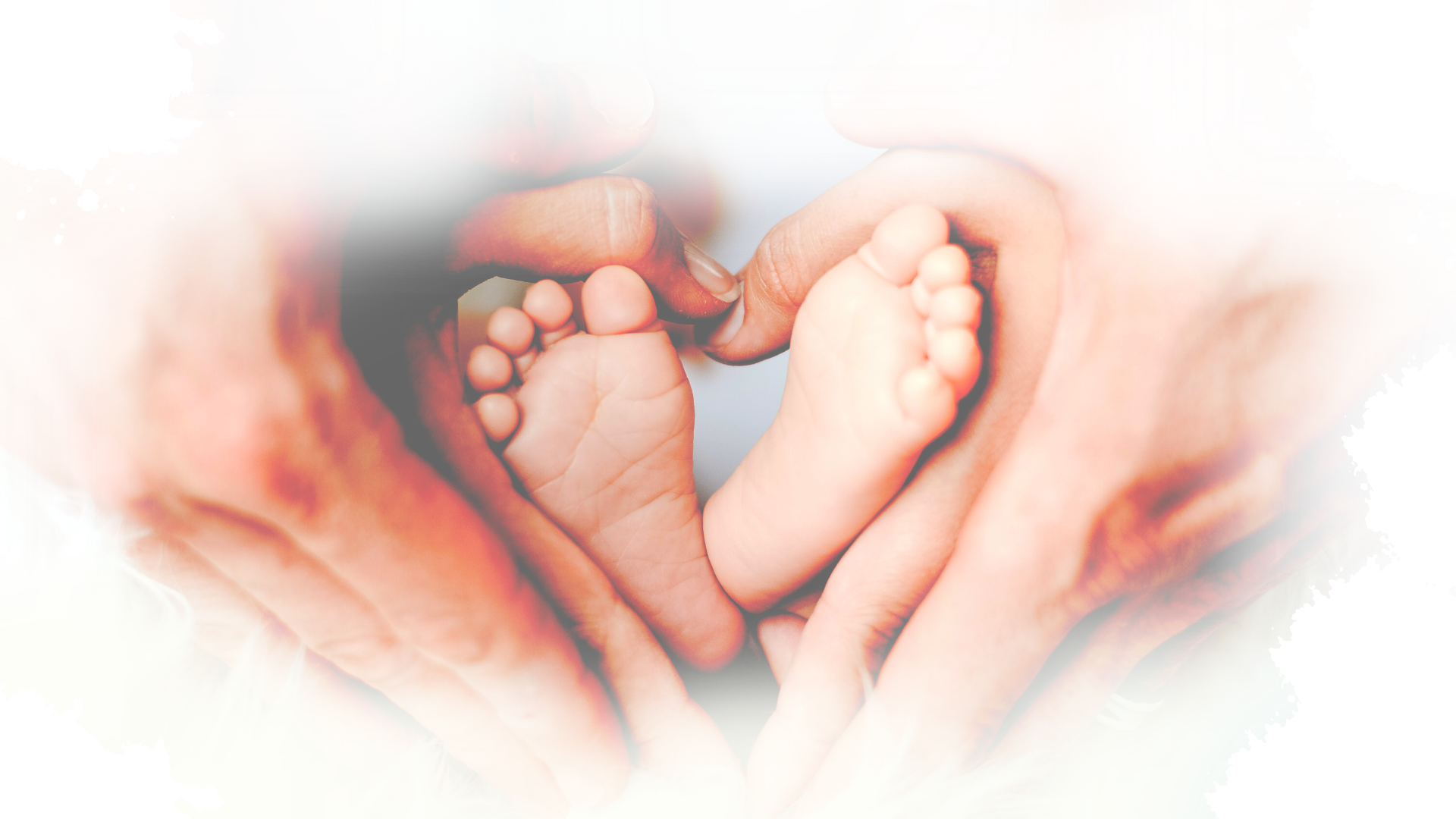 nimble_asset_vita-nascente-CISF-9